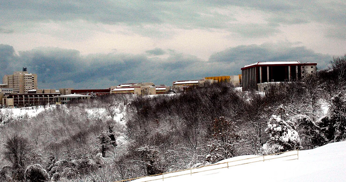 A view of the Ondokuz Mayıs Üniversitesi campus